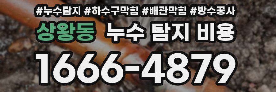 상왕동 누수 탐지 비용