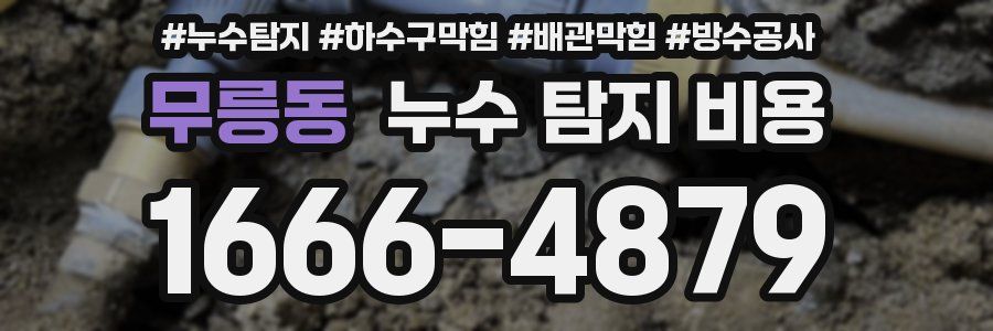 무릉동 누수 탐지 비용
