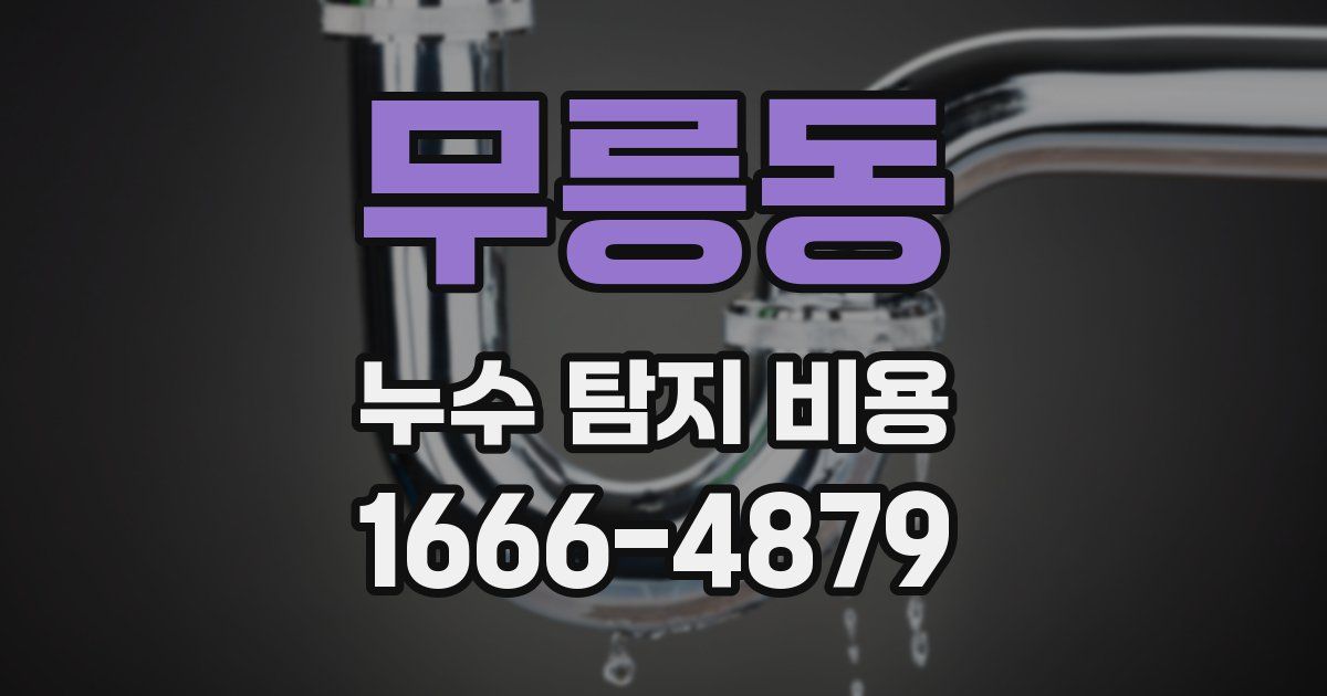 무릉동 누수 탐지 비용