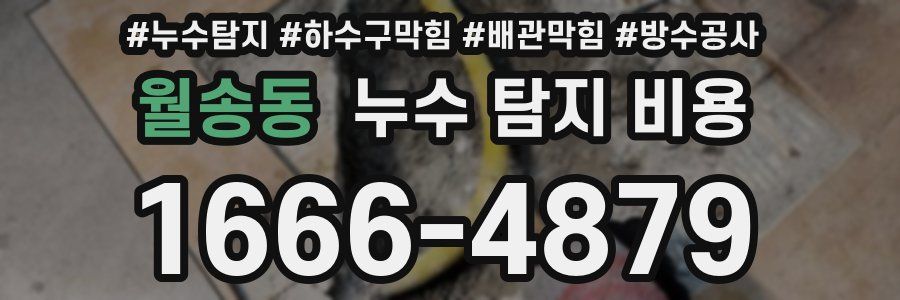 월송동 누수 탐지 비용