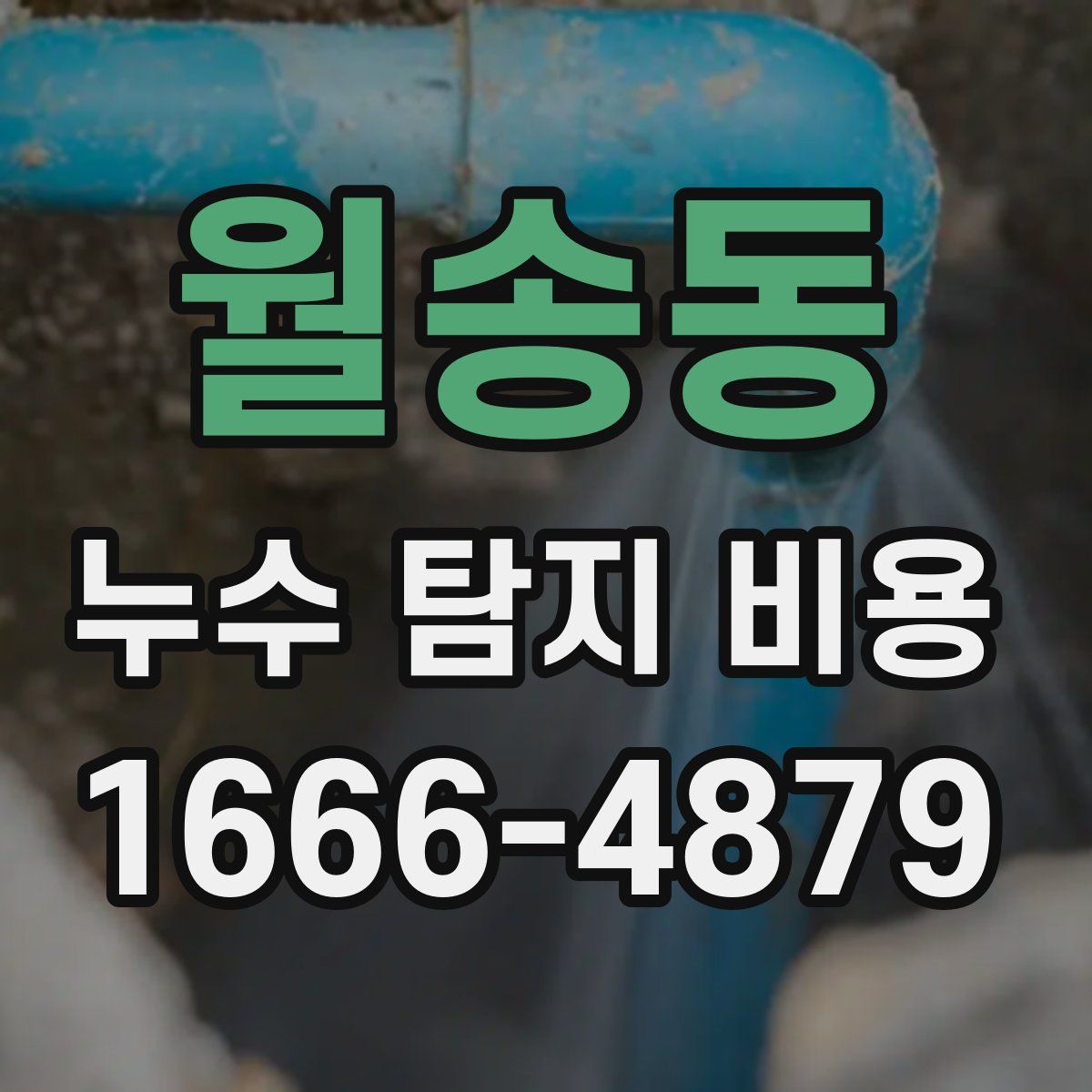 월송동 누수 탐지 비용