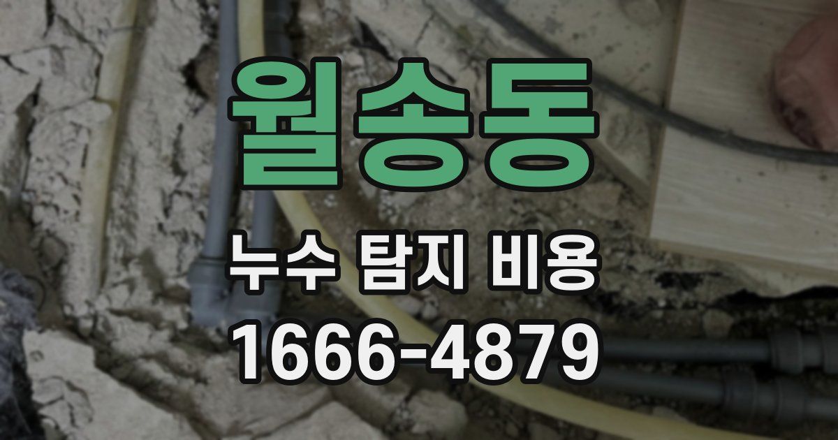 월송동 누수 탐지 비용