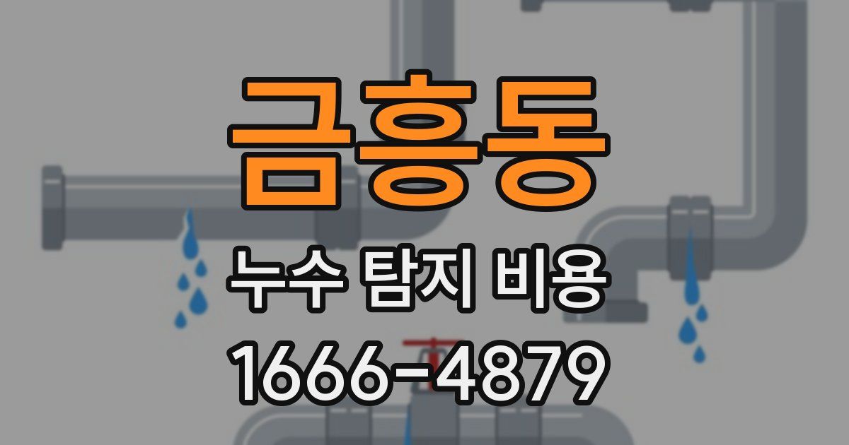 금흥동 누수 탐지 비용