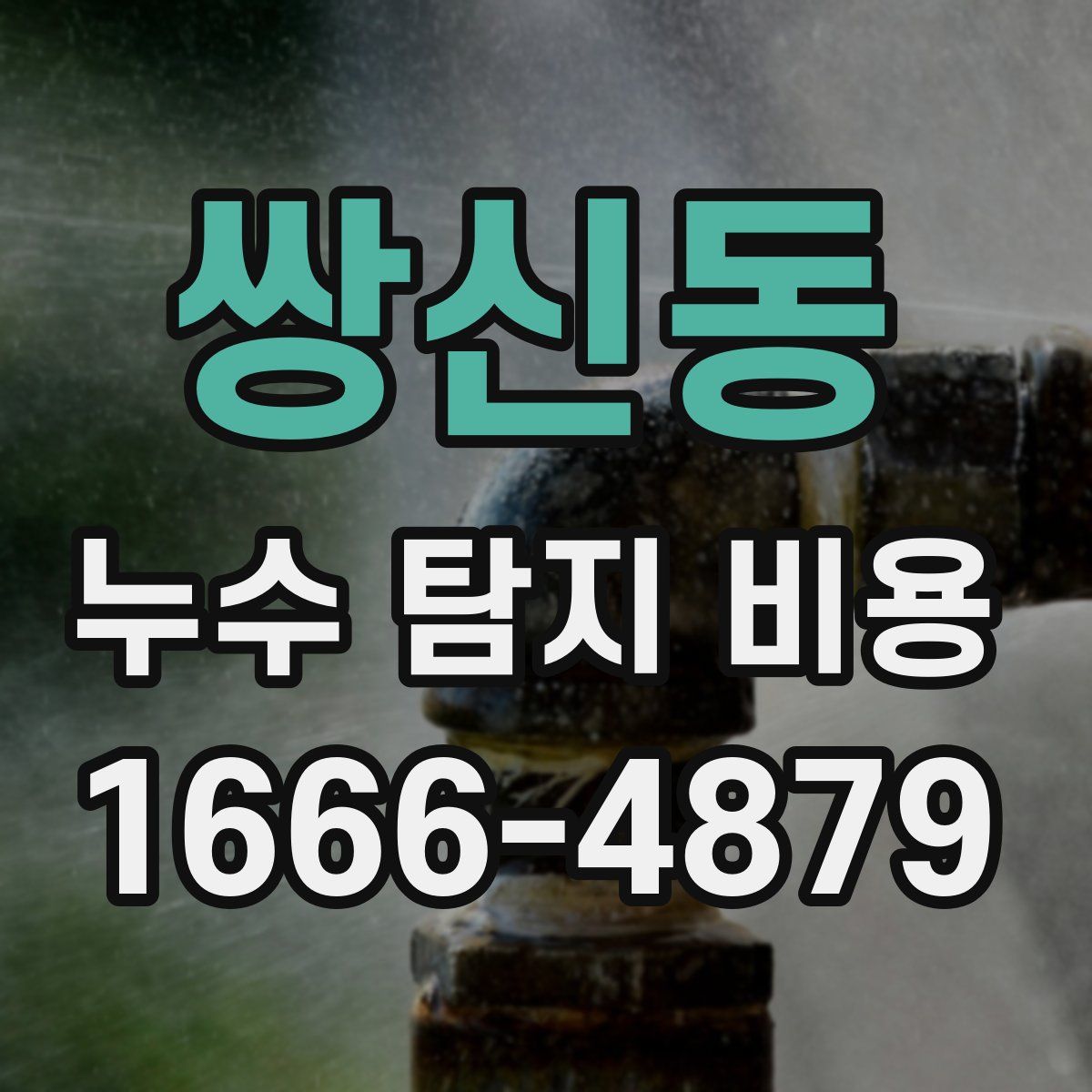 쌍신동 누수 탐지 비용
