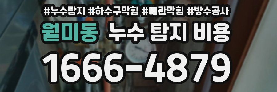 월미동 누수 탐지 비용