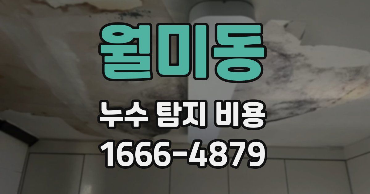 월미동 누수 탐지 비용