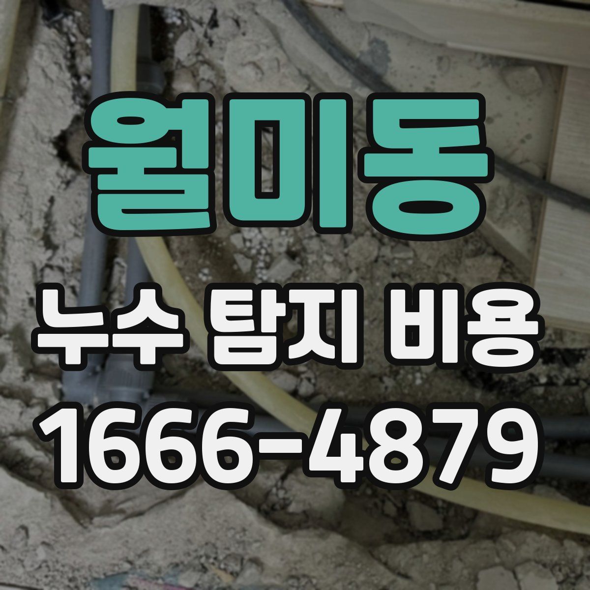 월미동 누수 탐지 비용