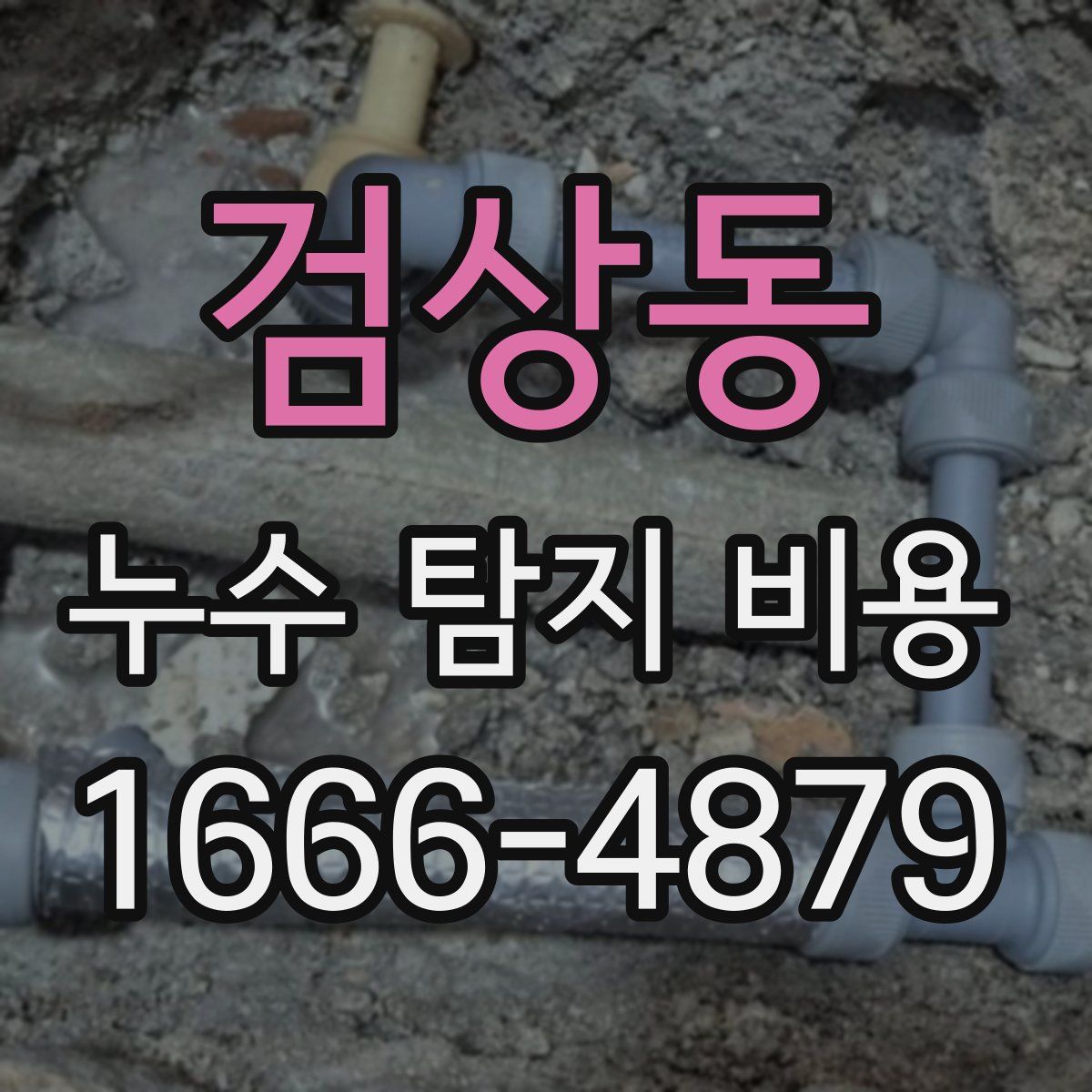 검상동 누수 탐지 비용
