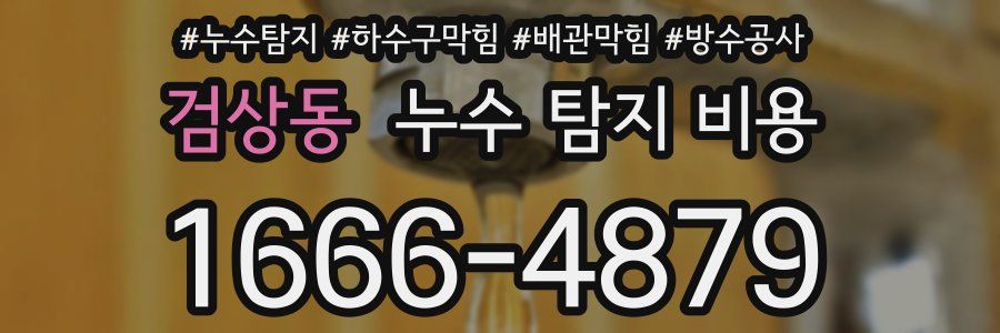 검상동 누수 탐지 비용