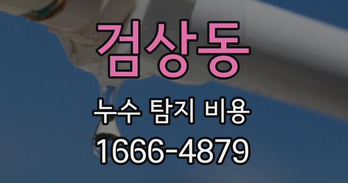 검상동 누수 탐지 비용