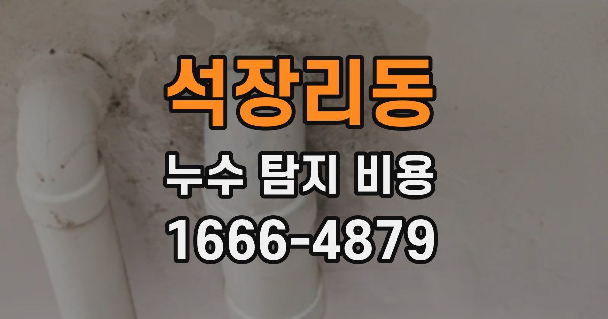 석장리동 누수 탐지 비용