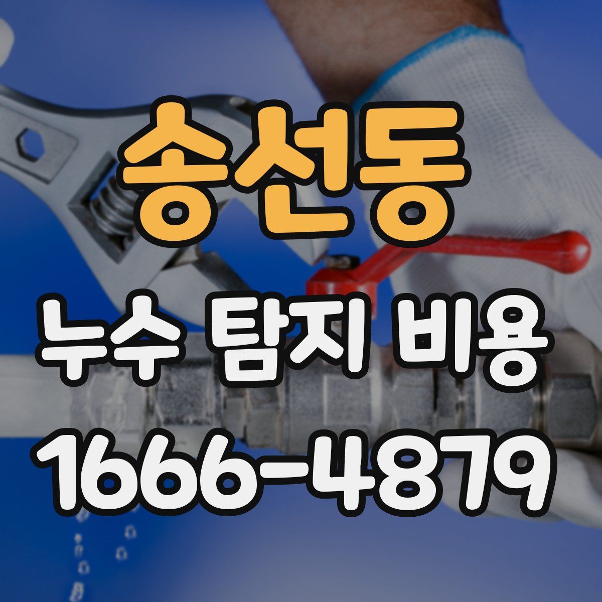 송선동 누수 탐지 비용