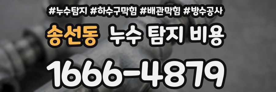 송선동 누수 탐지 비용