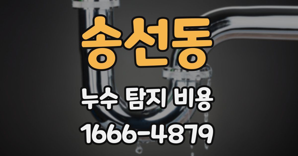 송선동 누수 탐지 비용