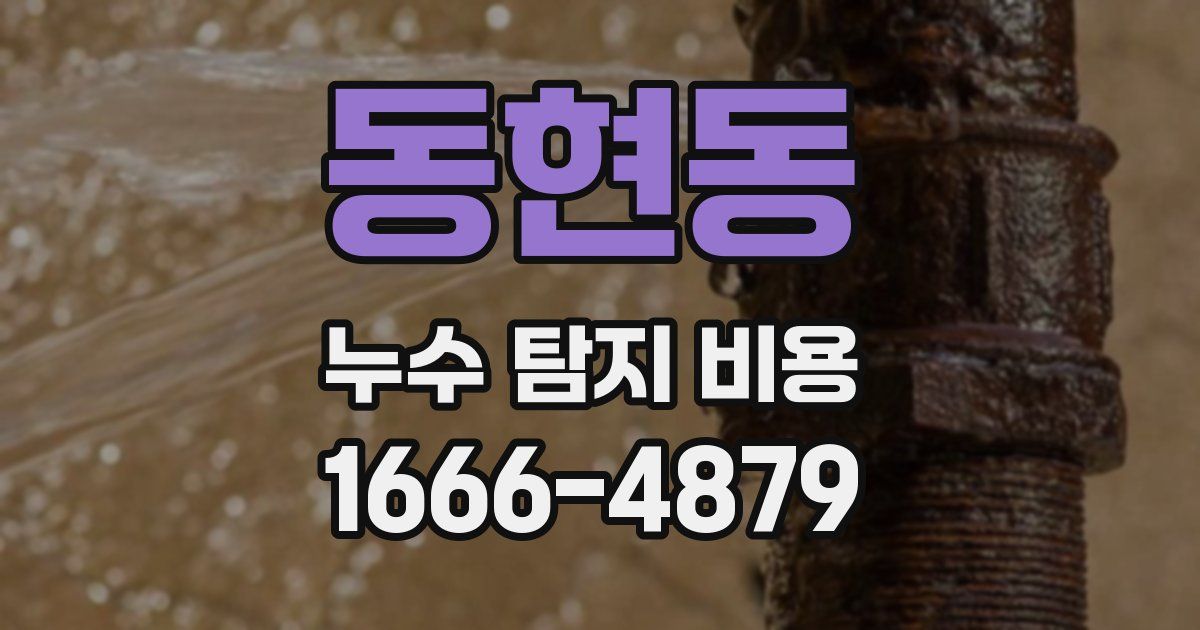 동현동 누수 탐지 비용