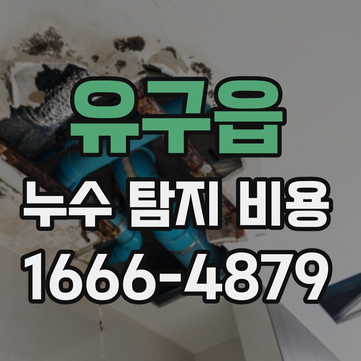 유구읍 누수 탐지 비용