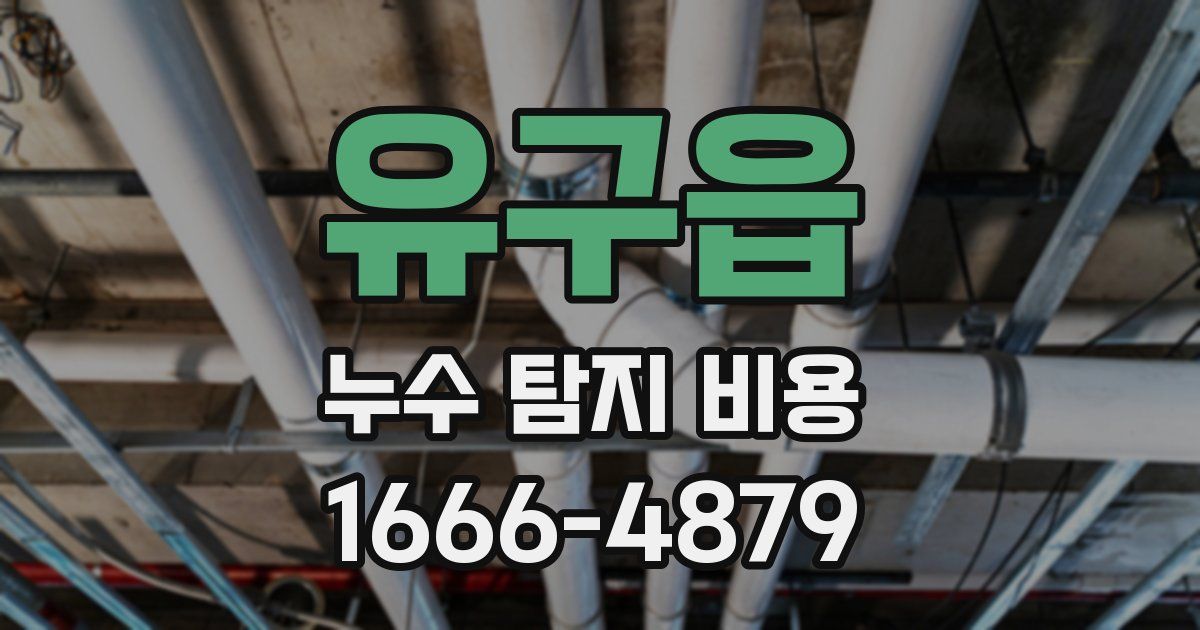 유구읍 누수 탐지 비용