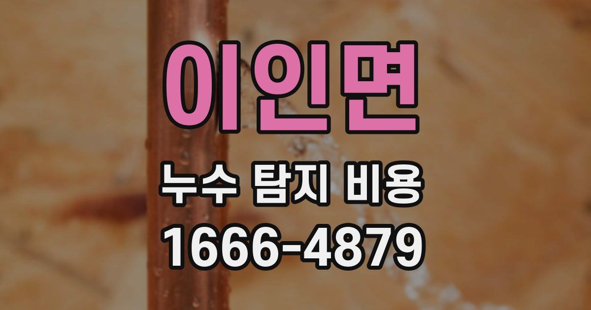 이인면 누수 탐지 비용