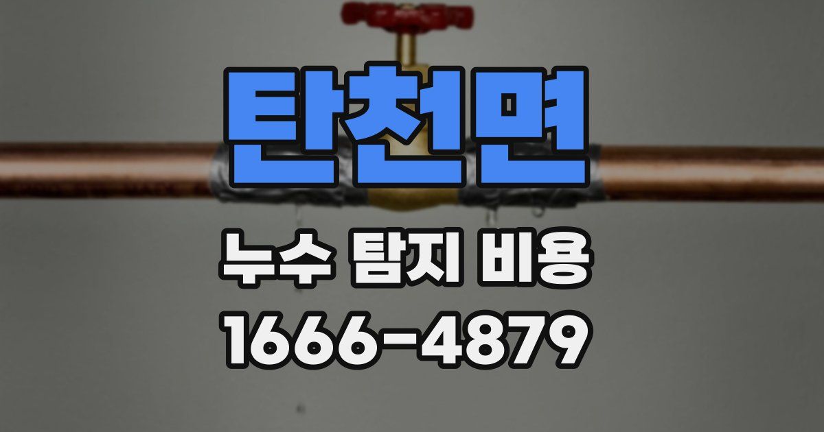 탄천면 누수 탐지 비용