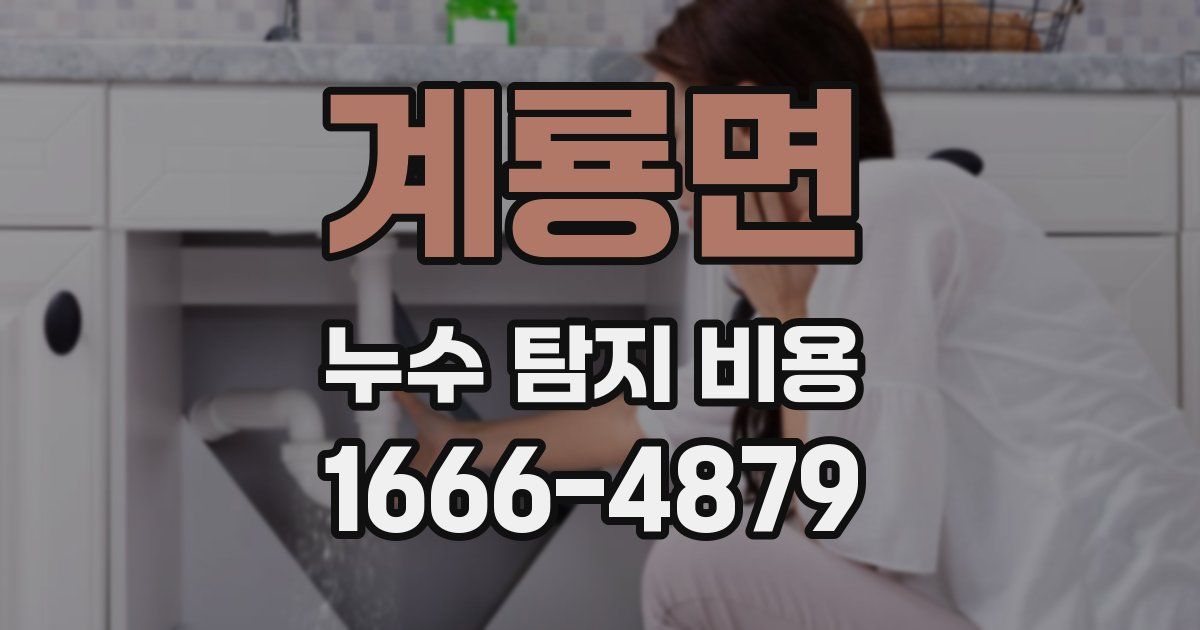계룡면 누수 탐지 비용