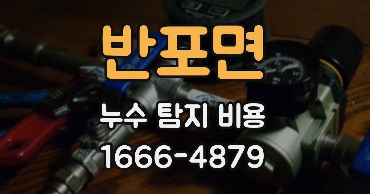 반포면 누수 탐지 비용