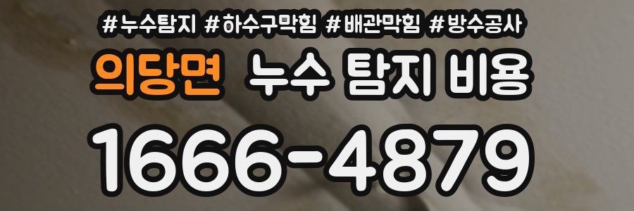 의당면 누수 탐지 비용