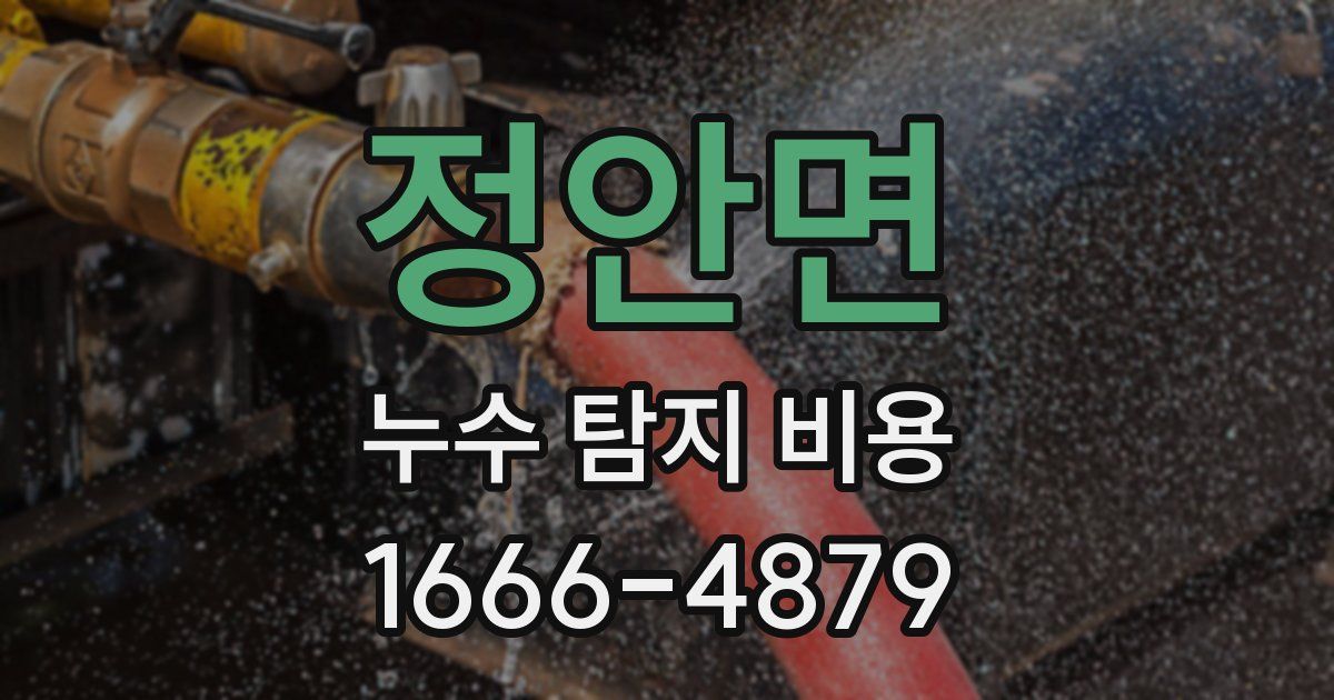 정안면 누수 탐지 비용