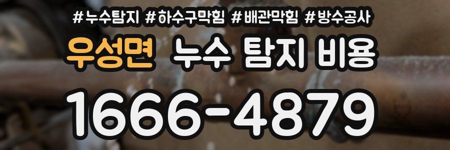우성면 누수 탐지 비용