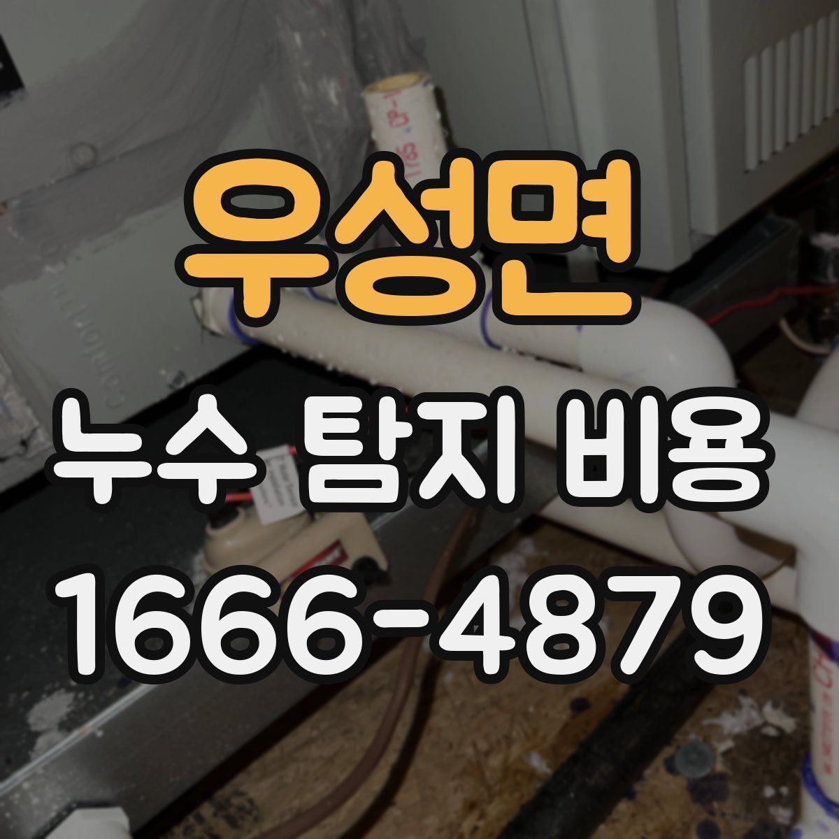 우성면 누수 탐지 비용