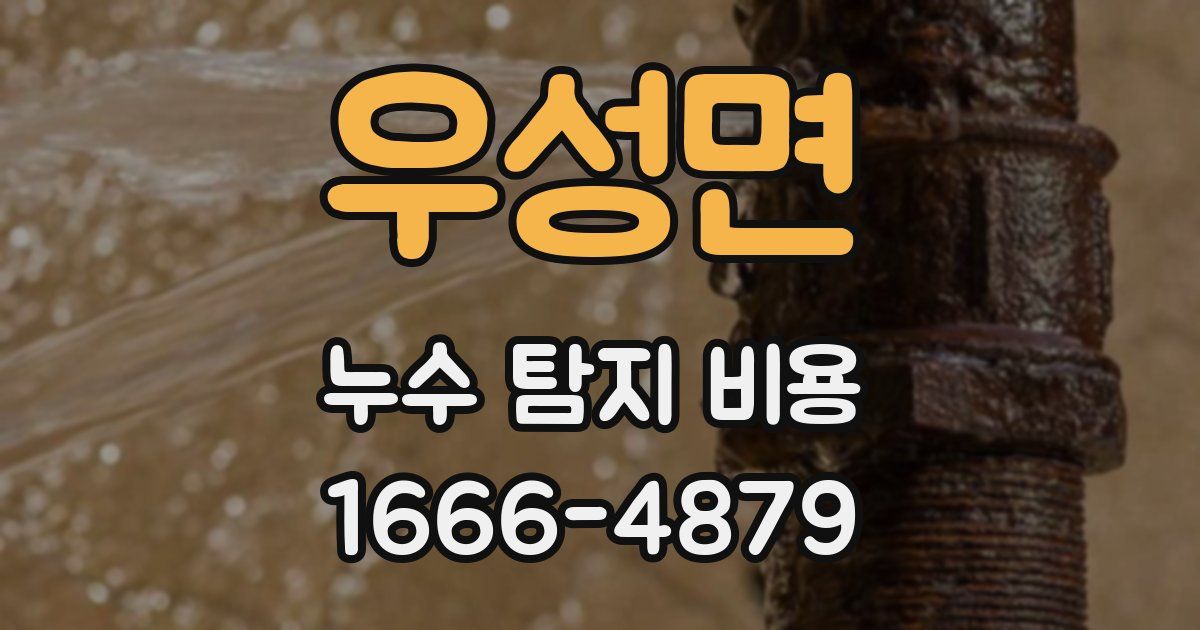 우성면 누수 탐지 비용