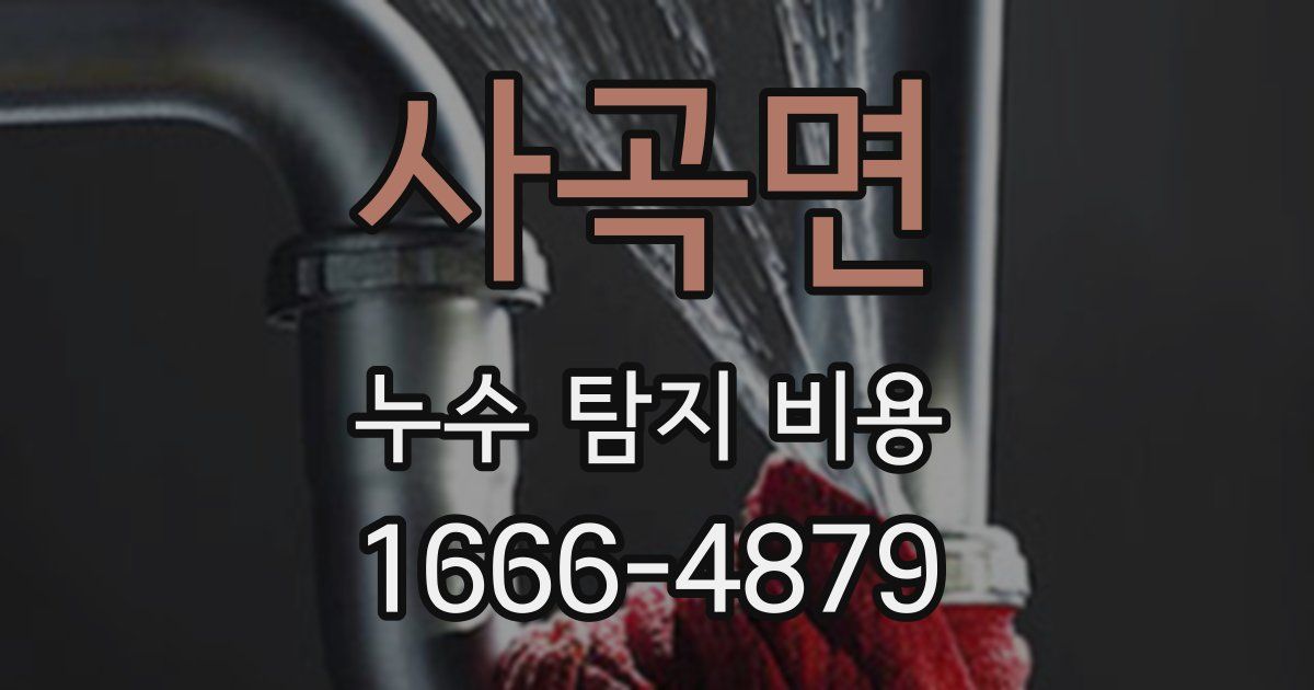 사곡면 누수 탐지 비용