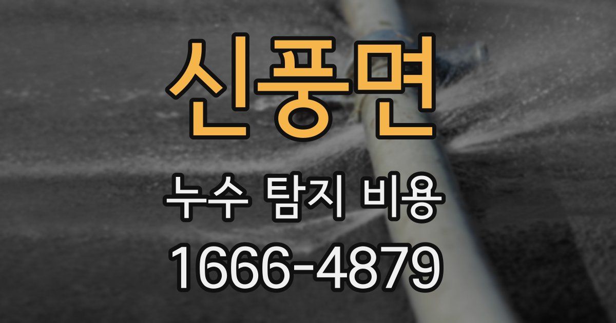 신풍면 누수 탐지 비용
