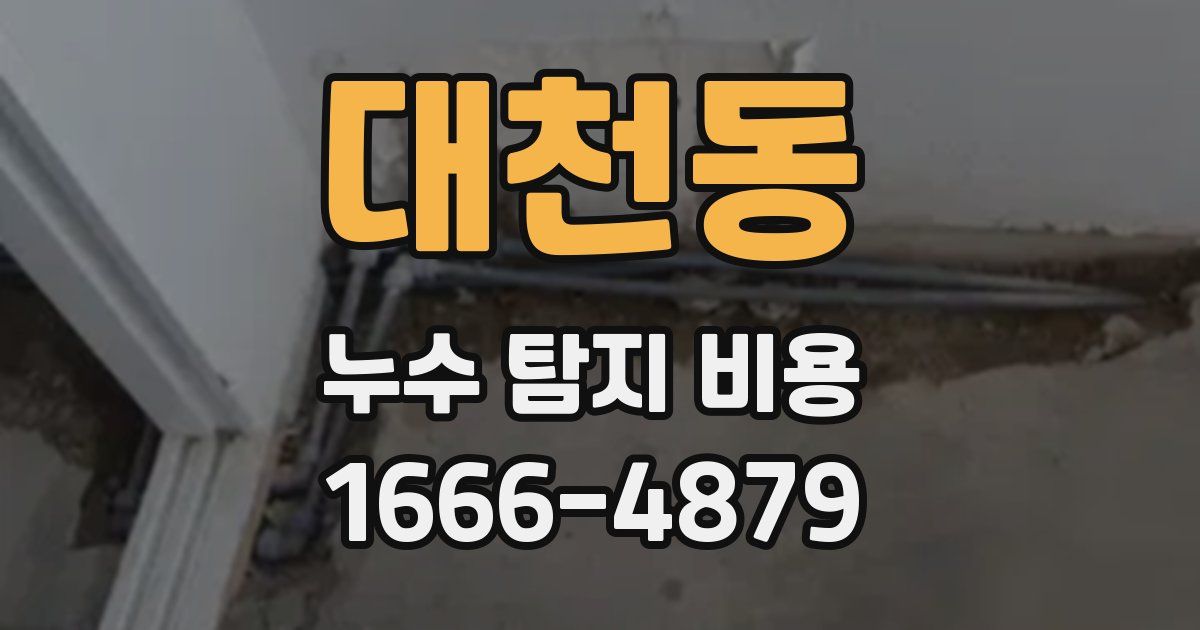 대천동 누수 탐지 비용