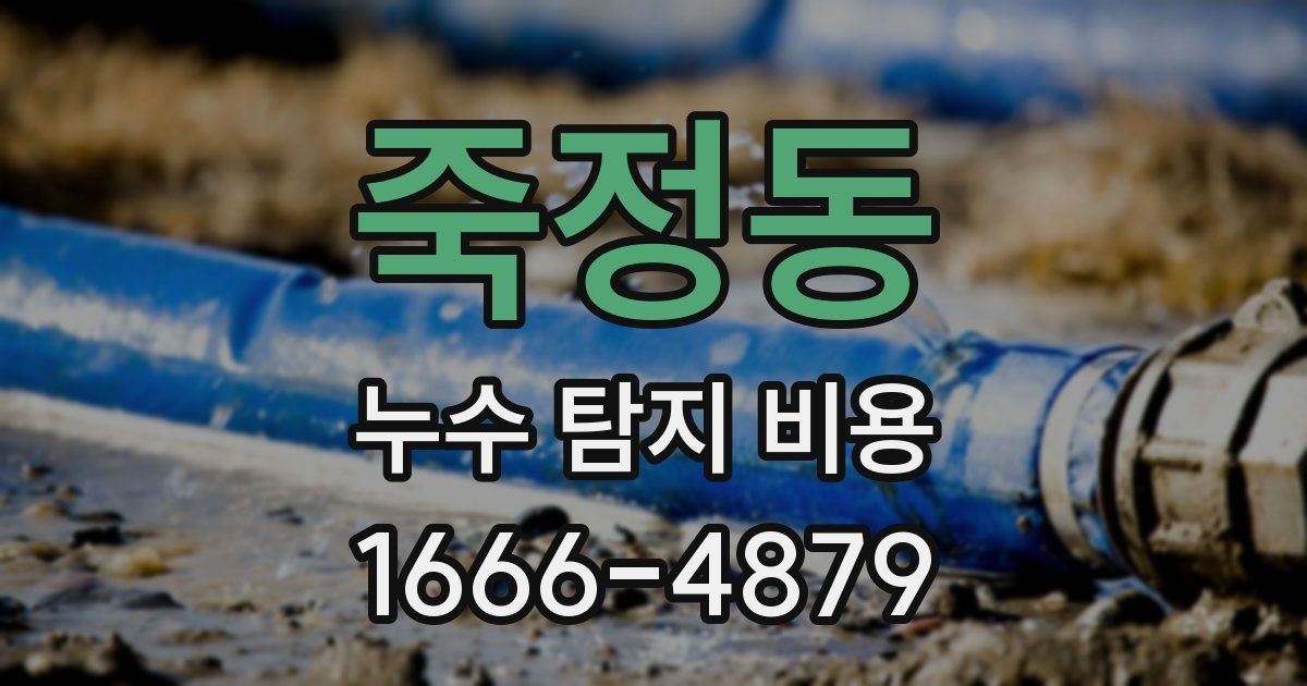 죽정동 누수 탐지 비용