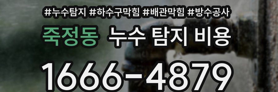 죽정동 누수 탐지 비용