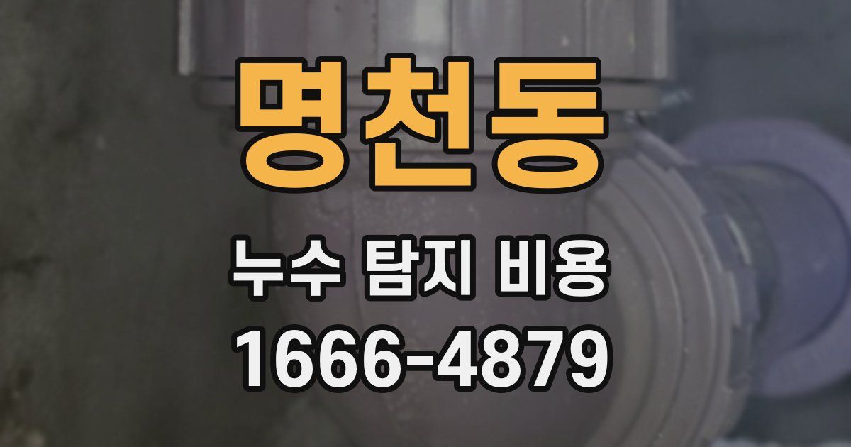 명천동 누수 탐지 비용