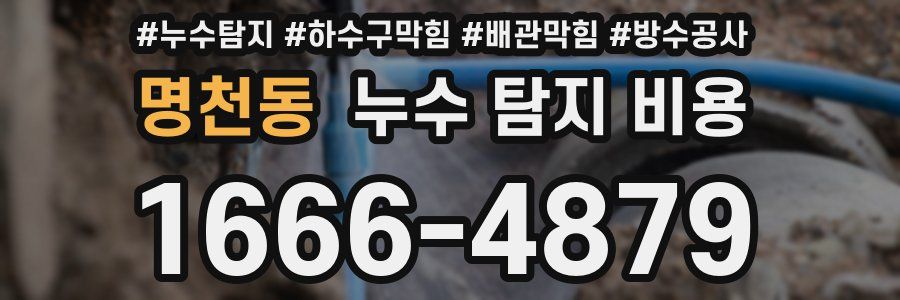 명천동 누수 탐지 비용
