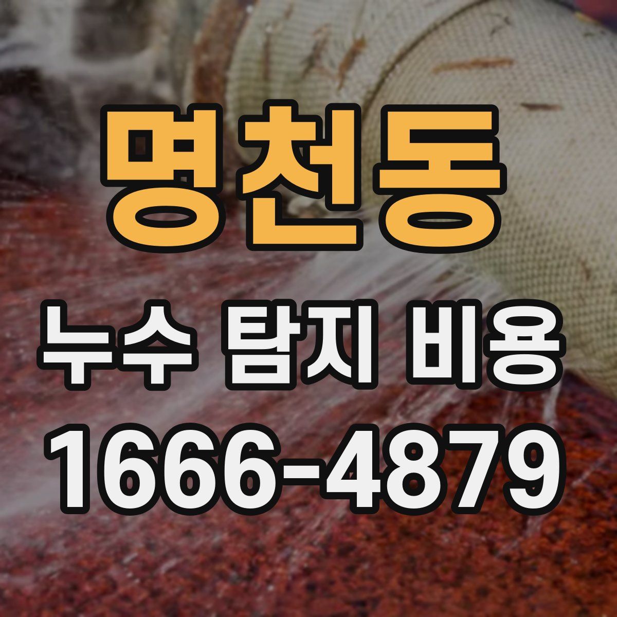 명천동 누수 탐지 비용
