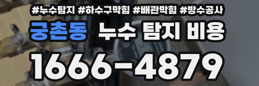 궁촌동 누수 탐지 비용