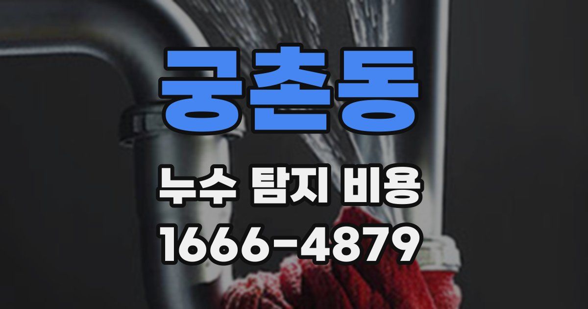궁촌동 누수 탐지 비용