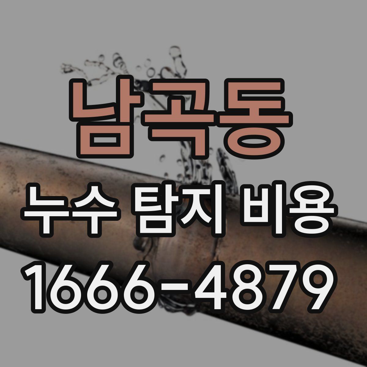 남곡동 누수 탐지 비용