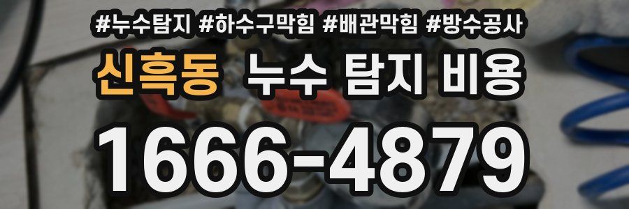 신흑동 누수 탐지 비용