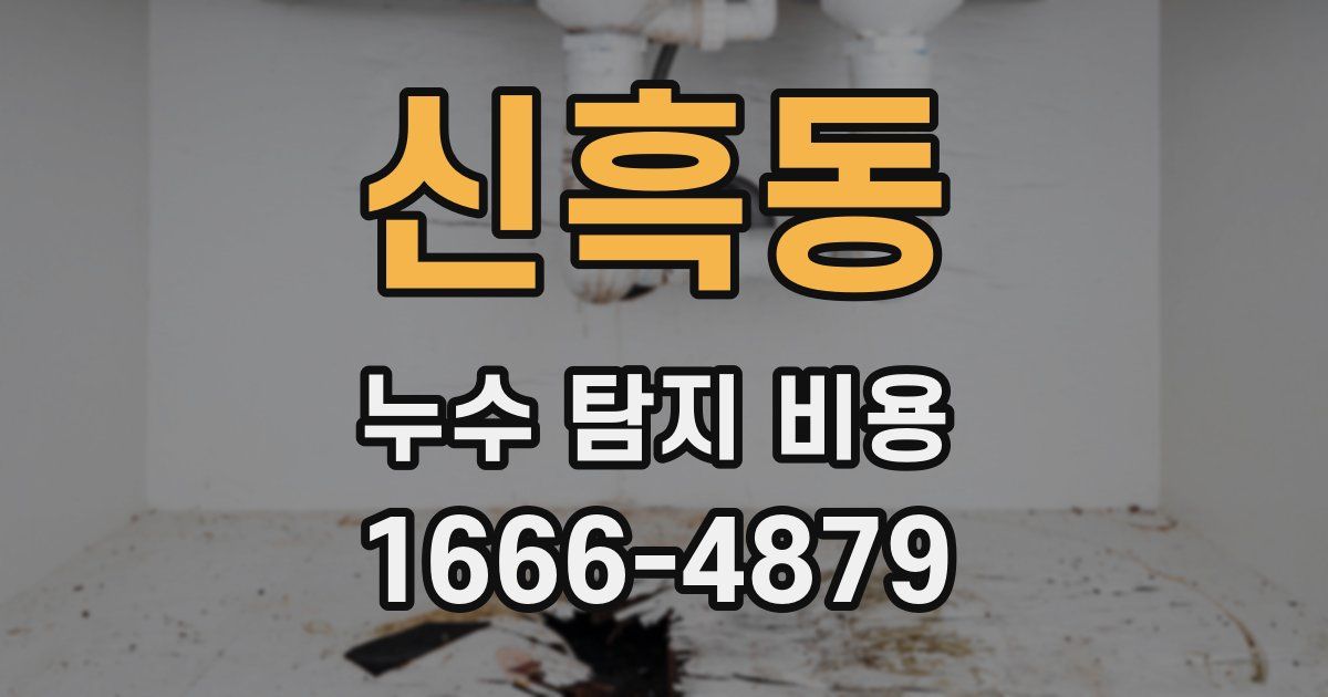 신흑동 누수 탐지 비용