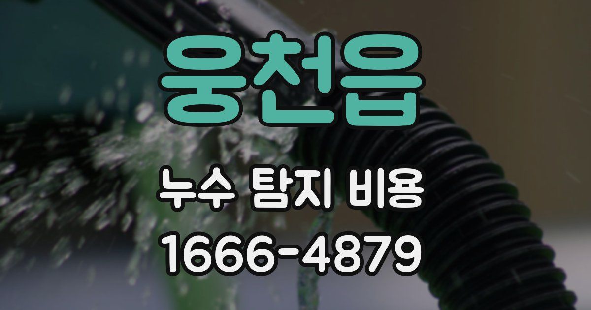 웅천읍 누수 탐지 비용