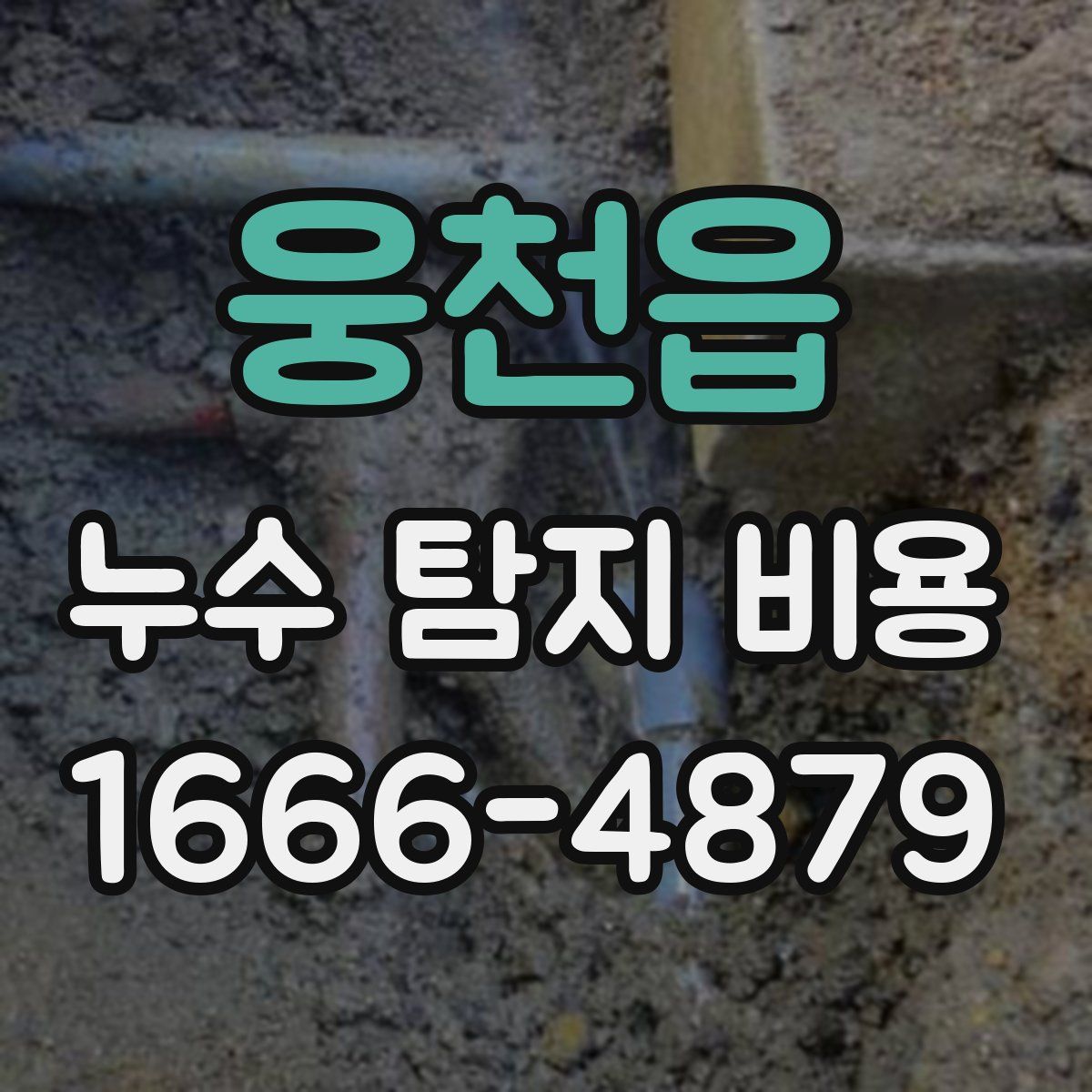 웅천읍 누수 탐지 비용