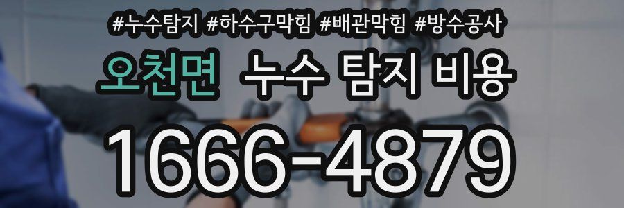 오천면 누수 탐지 비용