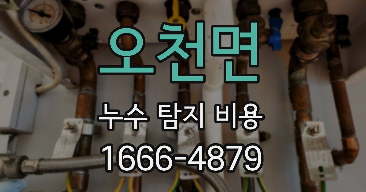 오천면 누수 탐지 비용