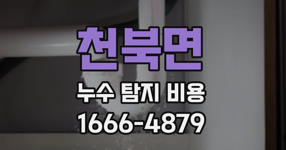 천북면 누수 탐지 비용