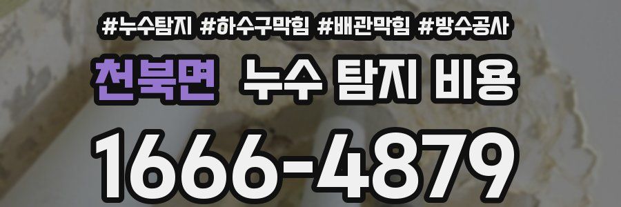 천북면 누수 탐지 비용