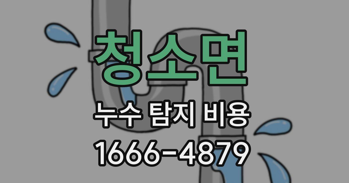 청소면 누수 탐지 비용